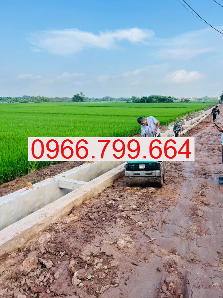Cho Thuê Máy Lu Mini Dắt Tay Hà Nội Cho Thuê Máy Lu Mini Dắt Tay Hà Nội