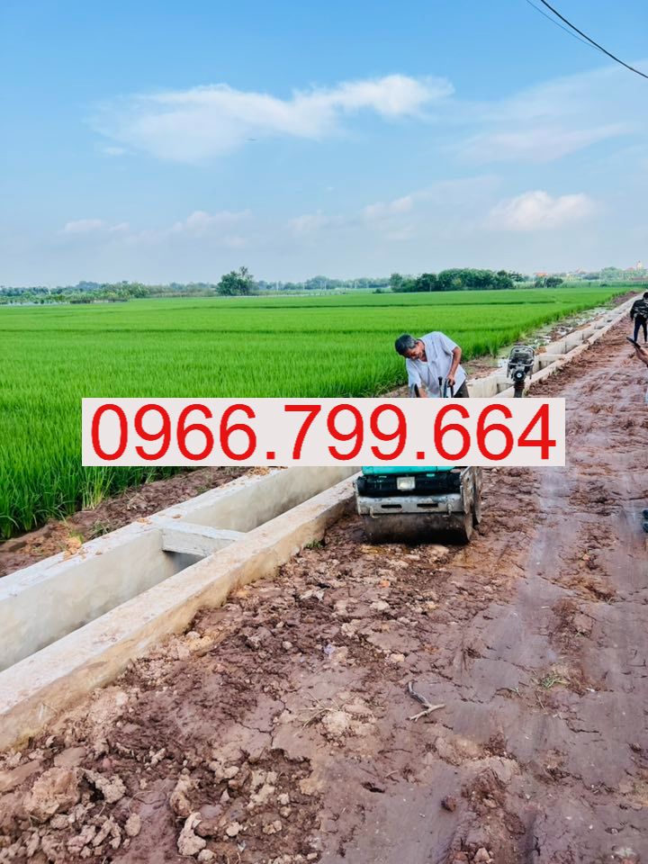 Cho Thuê Máy Lu Mini Hà Nội Cho Thuê Máy Lu Mini Hà Nội