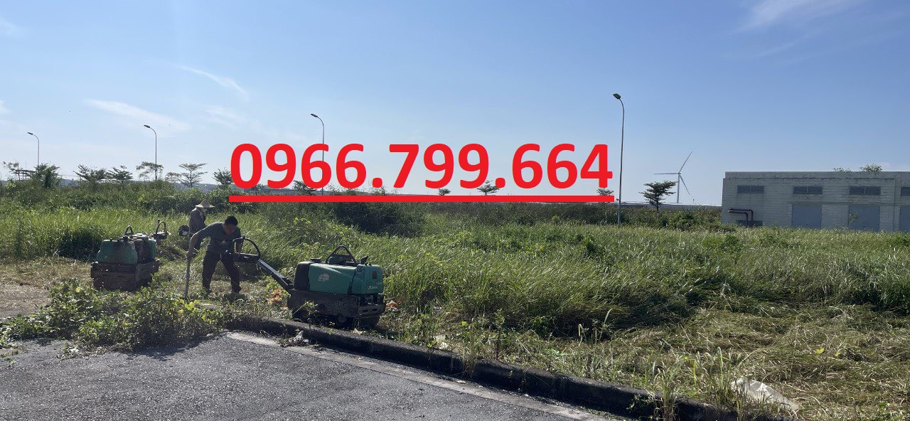 Cho Thuê Máy Lu Mini Dắt Tay