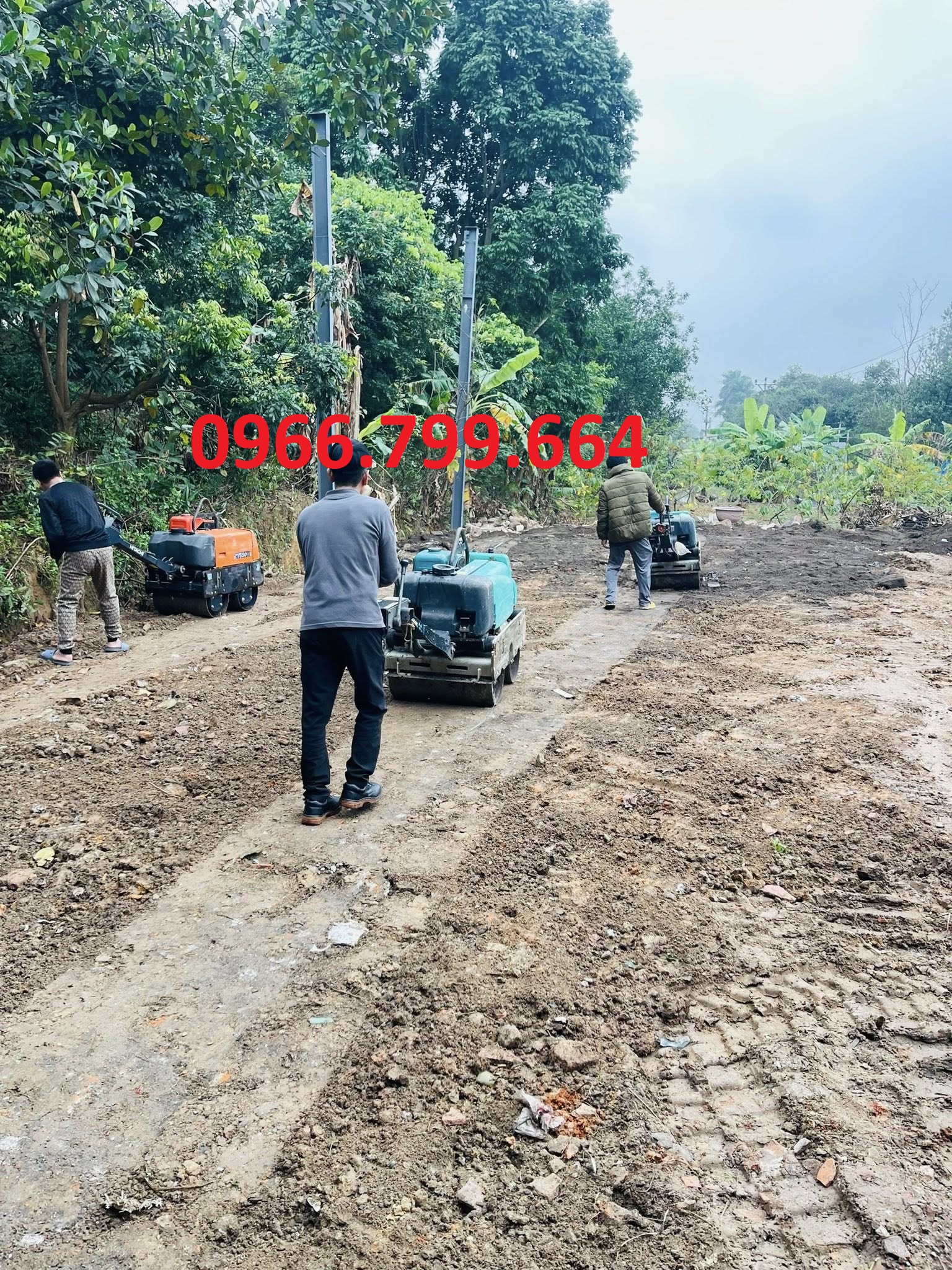 Cho Thuê Máy Lu Rung Mini Dắt Tay Ninh Bình